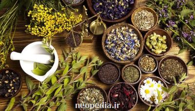 ۲۰ طرح برای هوشمندسازی ابزار تولید گیاهان دارویی اجرائی شد
