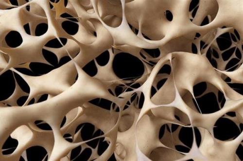 جوهر زیستی جایگزین استخوان در بدن می شود