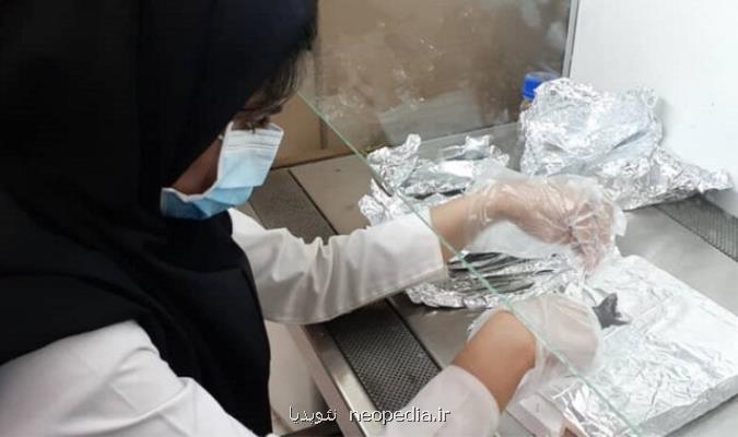 اعضای هیات علمی آموزشی و پژوهشی، رقیب یکدیگر نیستند