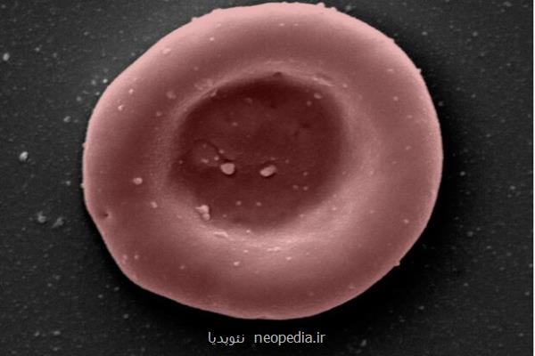 خون آزمایشگاهی برای اولین بار به افراد تزریق شد!