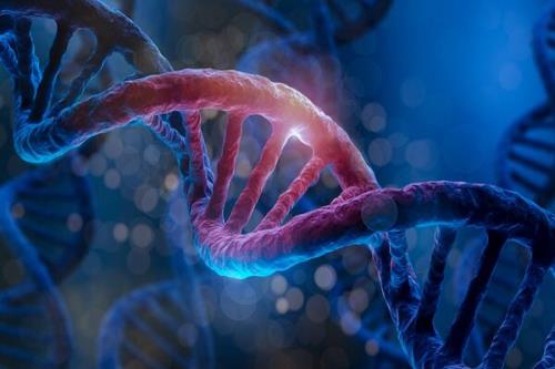 ابداع یک روش درمان ژنتیکی خاص با کمک نانوذرات