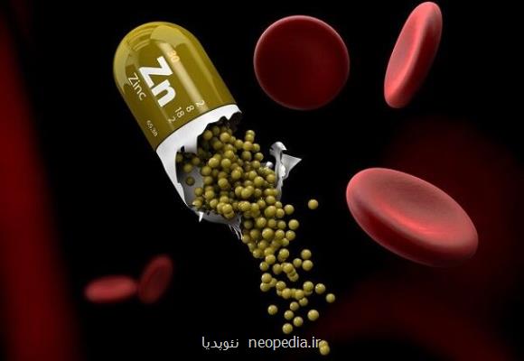 تولید مکمل نانویی زینک با جذب ۲ برابری در بدن