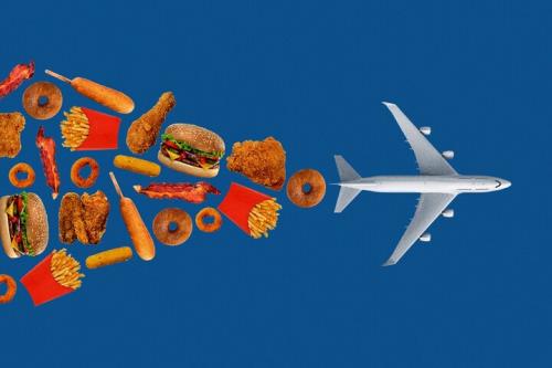 پسماندهای غذا به سوخت هواپیما تبدیل می شوند