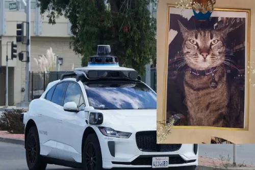 تشدید موج انتقادات از تاکسی رباتیک ویمو بدنبال مرگ یک گربه!