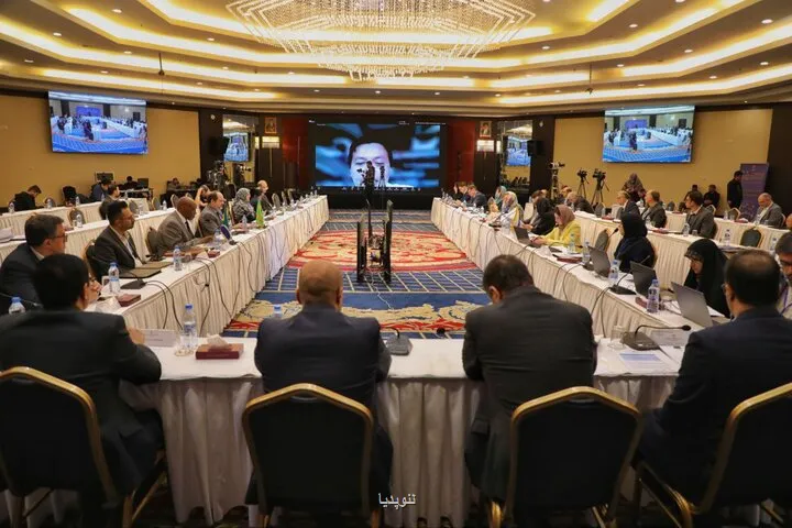 ایران مگاپروژه های علمی خویش را در جمع کشورهای عضو بریکس معرفی نمود