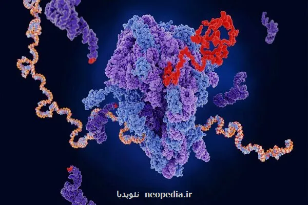 میکسری که احتیاج به آزمایش روی حیوانات را از بین می برد
