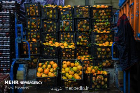 اصلاح چرخه معیوب توزیع میوه و تره بار در كشور به كمك استارت آپها