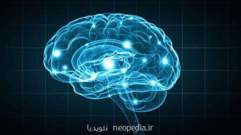 ارتباط بین كاهش سروتونین و بیماری اوتیسم