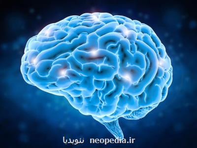 ایمپلنت مغزی كه با تلفن همراه كنترل می شود