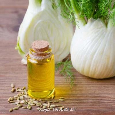 خواص ضد كپكی رازیانه