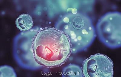 تأثیر غلظت آلژینات و حضور سلول های تخمدانی در كیفیت كشت فولیكول