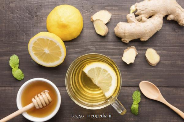 امكان تولید داروی كاهنده چربی خون بر اساس تركیبات گیاهی