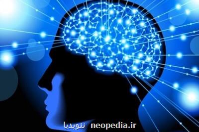 توسعه ابزارهای نوین و تركیبی تحریك غیرتهاجمی مغز حمایت می شوند