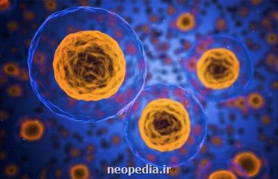 تعیین میزان اسیدیته سلول با نانوذرات برای كمك به بیماران سرطانی