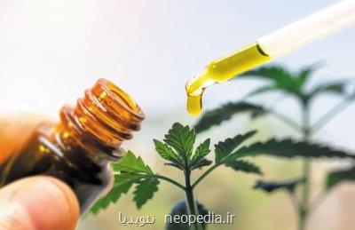 داروی گیاهی ترك اعتیاد رونمایی گردید