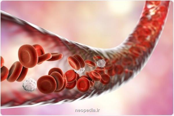 بررسی جریان خون در عروق برای ساخت رگ های مصنوعی