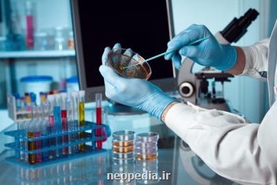 از قیاس رتبه ایران با تركیه تا پژوهشگرانی كه بیشترین مقاله ها را دارند